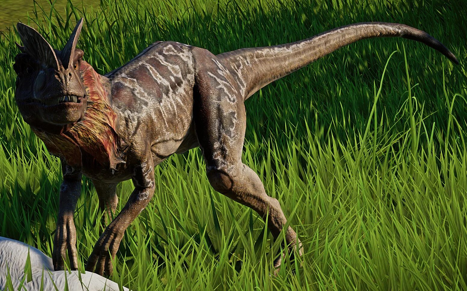 Как назывались маленькие динозавры. Дилофозавр парк Юрского периода. Дилофозавр динозавры Юрского периода. Дилофозавр мир Юрского периода. Дилофозавр Jurassic World Evolution.