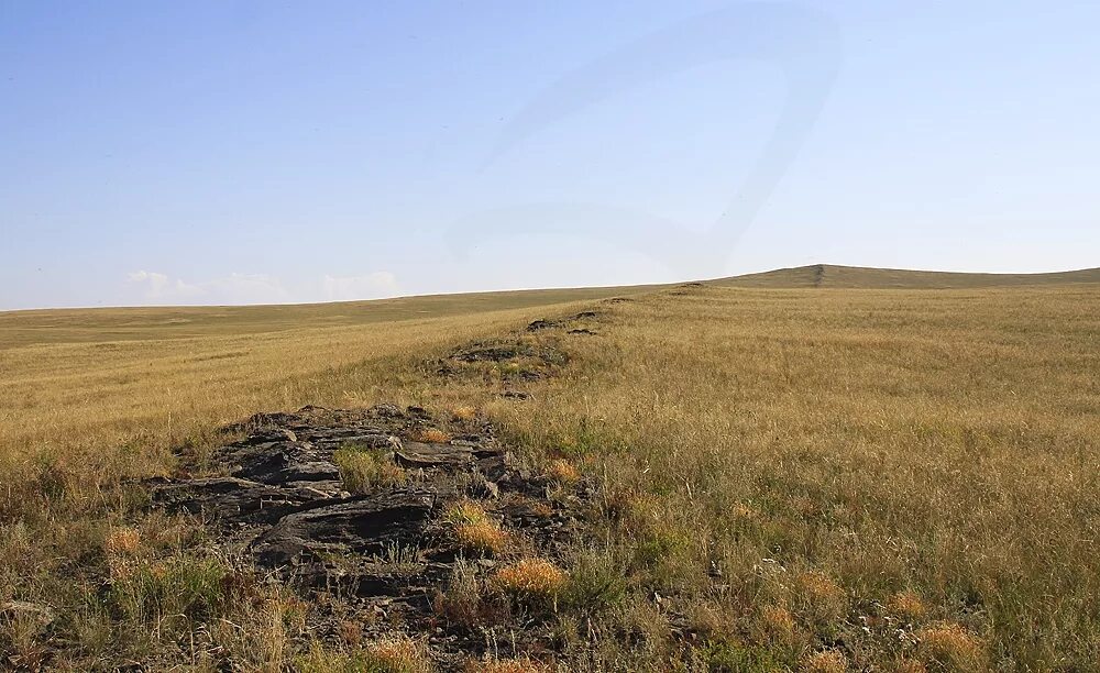 вокруг тянулась плоская унылая степь 311. тянулась плоская унылая степь. степная дорога. станица мешковская ростовской области. степь осенью.