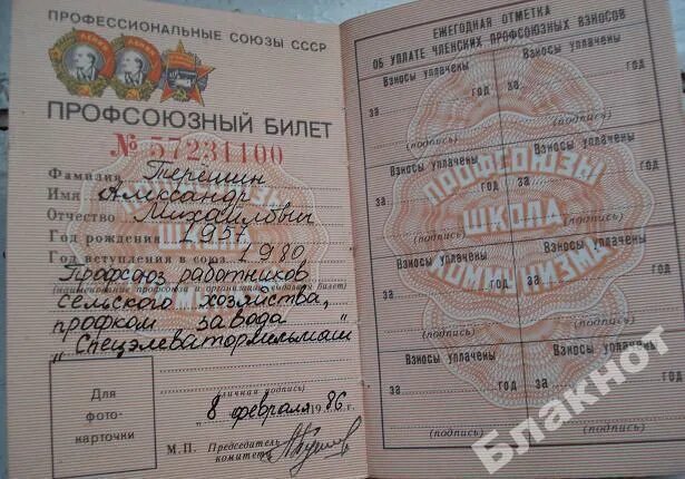 Номер профсоюзного билета. Профсоюзный билет медикам. Билет члена профсоюза. Электронный профсоюзный билет. Членский билет профсоюз.