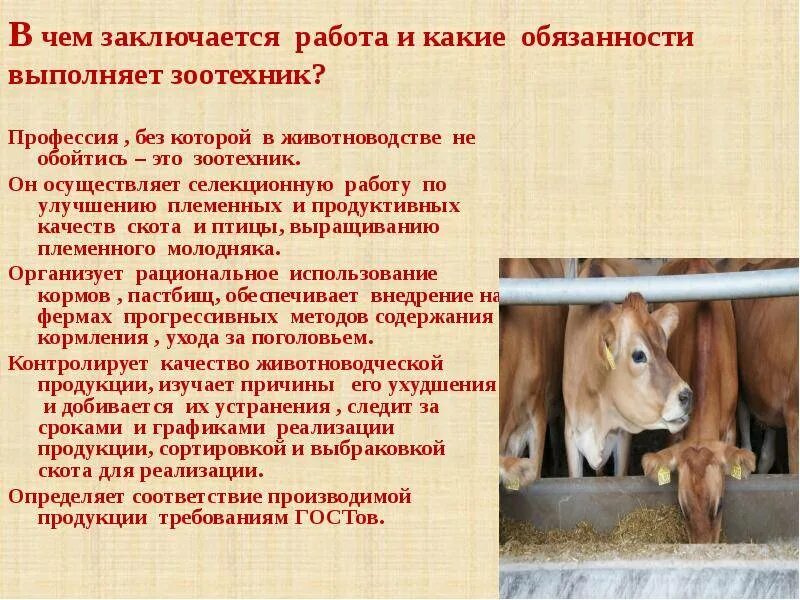 Размножение для животных какое значение