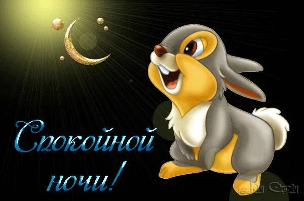 Добрый вечер с кроликом картинки Pin on Pastels art Bunny rabbit art, Rabbit art, Bunny art