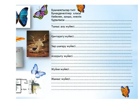 Жаратылыстану 3 сынып тест