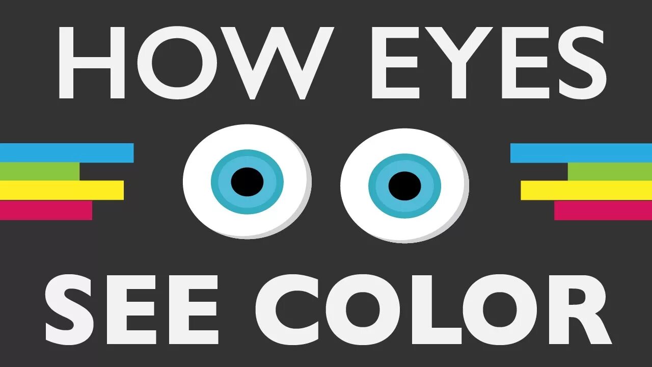 See.Color. How Eyes see. Colors work. How we see.