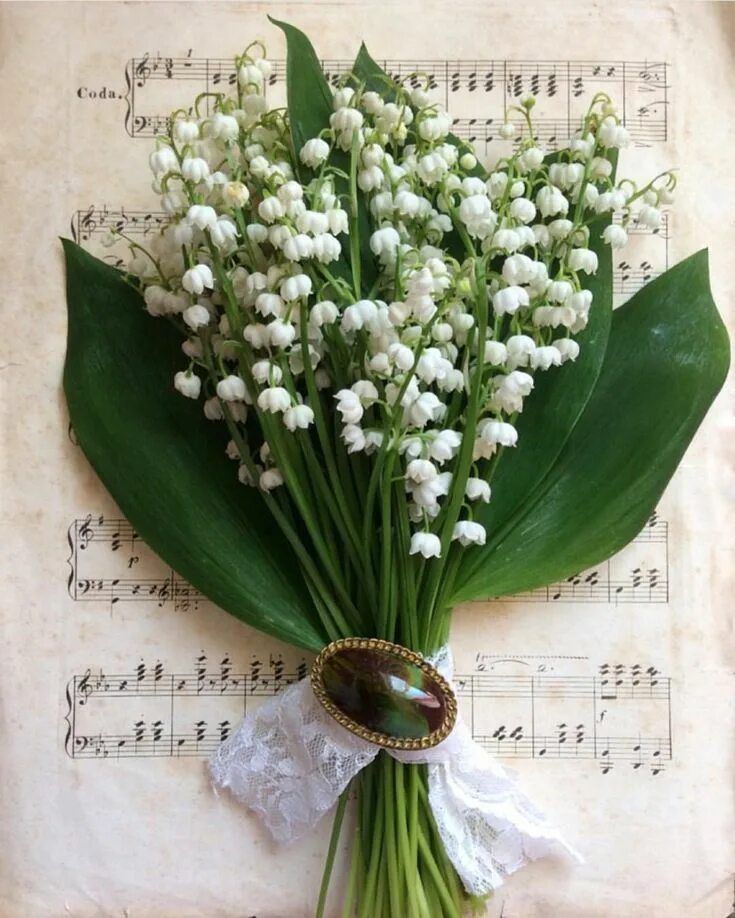 I saw the flowers in a dream. On the street - February, probably - to Spring... 