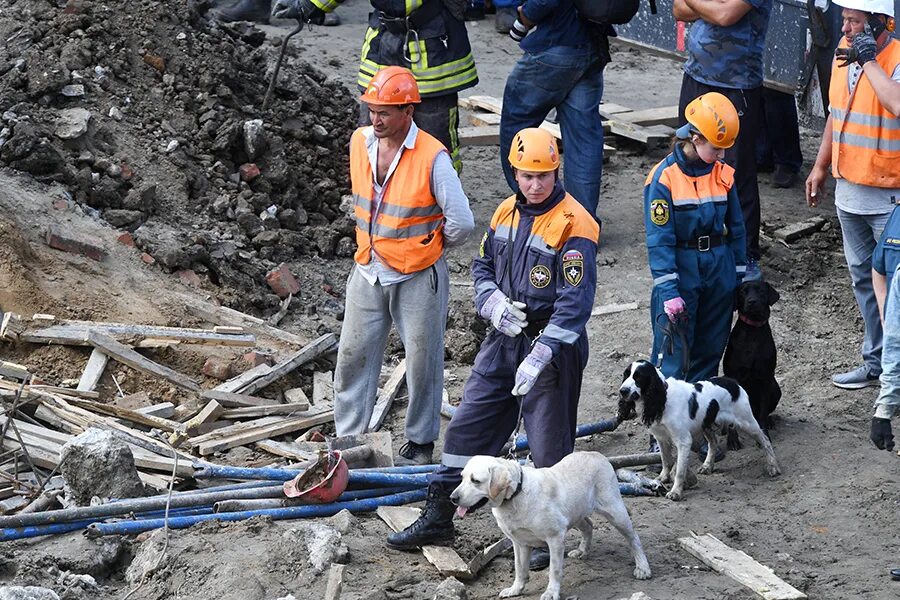 Человек спасший землю. Поисково-спасательная служба МЧС России здания. Поисково-спасательная служба собак. Поисково спасательные собаки.