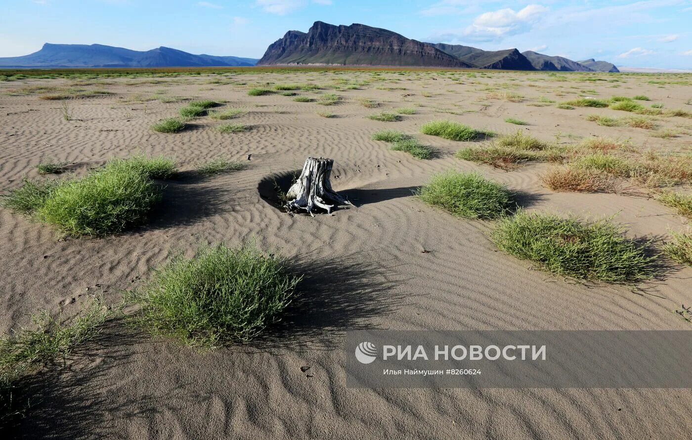 В какой водоем пересыхает енисей. Обмелевшее водохранилище красноярский край 2025. енисей пересох 2025. пересыхание рек в европе 2025. енисей обмелел 2025.