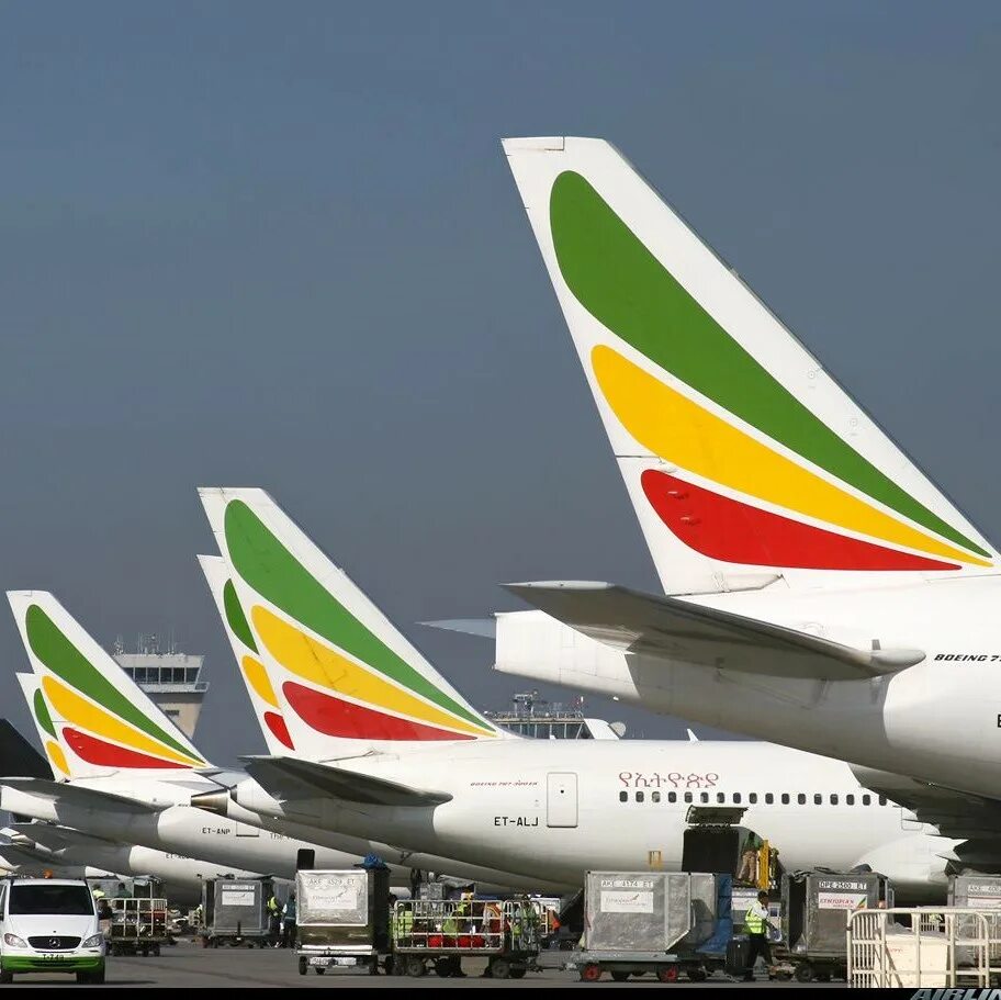 Ethiopian airlines рейс. Авиакомпания Эфиопиан Эйрлайнс. Ethiopian самолет Ethiopian Airlines. Эфиопия Аирлинес Боинг 787. Боинг 737 Эфиопия.