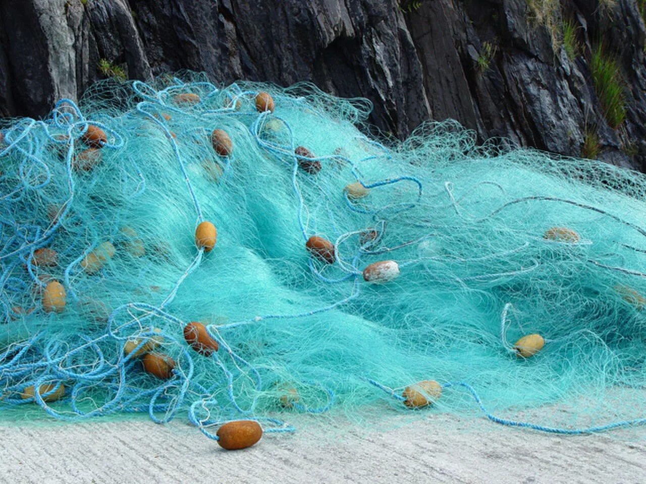 Fishing net перевод. Сетка рыболовная. Рыболовная сеть в воде. Морская сеть. Сетка рыболовная в воде.