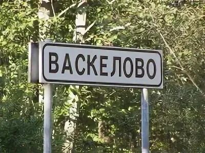 Расписание автобусов васкелово лесное. Автобус Лесное Васкелово. 611 Маршрутка Васкелово. Васкелово вывеска. Васкелово ВК.