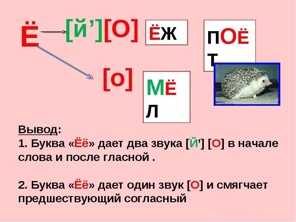 Буква е количество звуков. Звук и буква е. Правило буквы е. Буква е звук е. Буква е 1 класс.