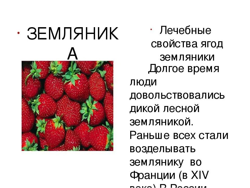 Полезныетсвоиства земляники. Клубника Лесная полезные. Земляника полезные свойства. Земляника характеристика. Ягодка характеристика