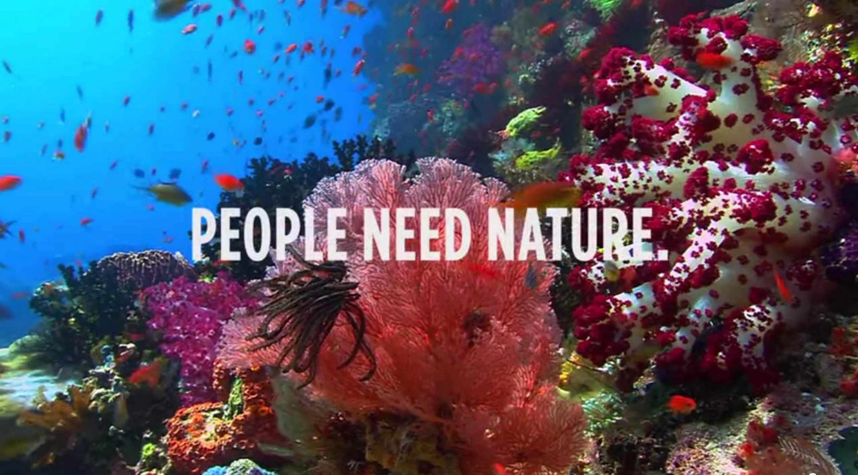 Nature is speaking