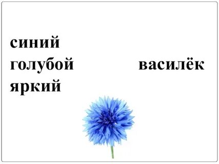 Как перенести слово василек