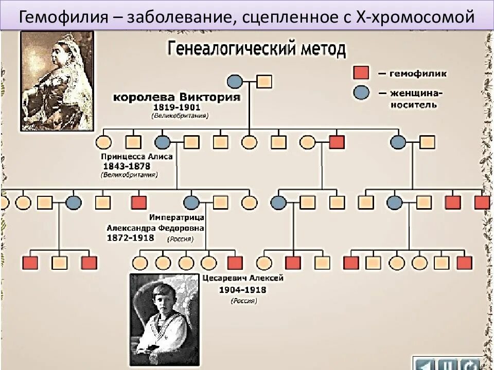 Создание потомки