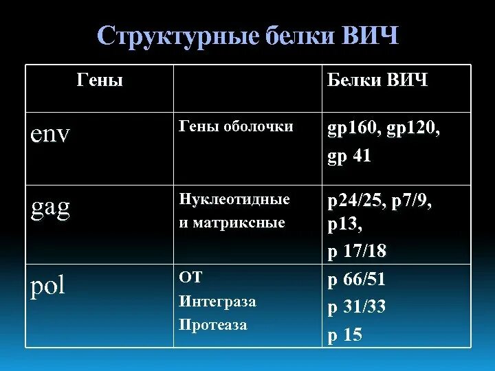 Белки вич. Структурные белки ВИЧ. Функции структурных белков ВИЧ. Белок GP 160 ВИЧ. Структурные белки вич1 и вич2.