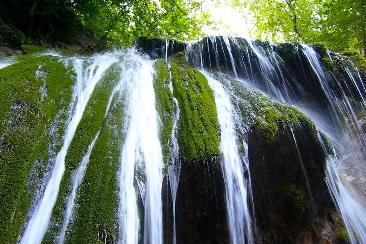 Растительный источник воды. Водопад Джур Джур. Водопад в Рыбачьем Крым. Минеральные источники Крыма. Минеральные воды водопады.