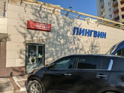 Пингвин киров