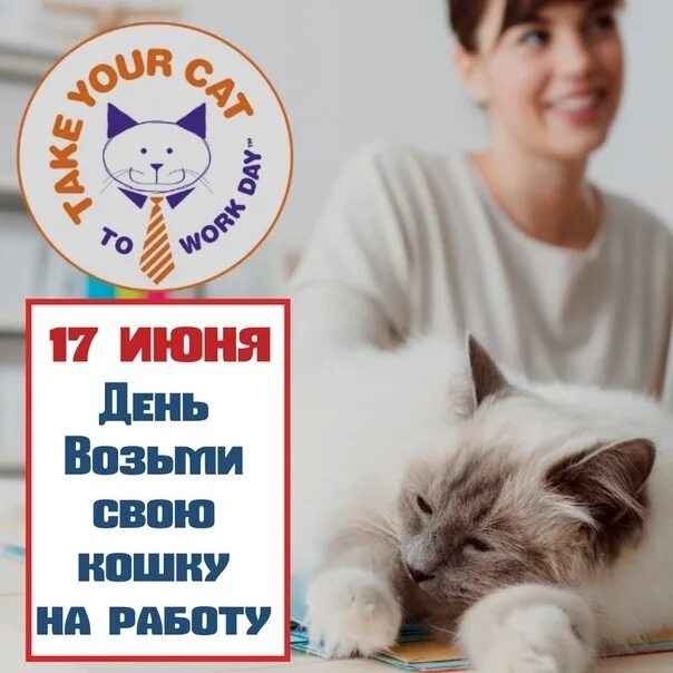 День возьми кошку на работу. Возьми свою кошку на работу. День возьми свою кошку на работу 17 июня. День «возьми свою кошку на работу»  - открытка.