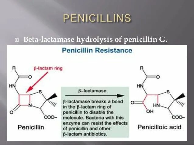 Пенициллин 10. Beta lactam antibiotics. B-lactamase. Beta lactamase. Молекула пенициллина.