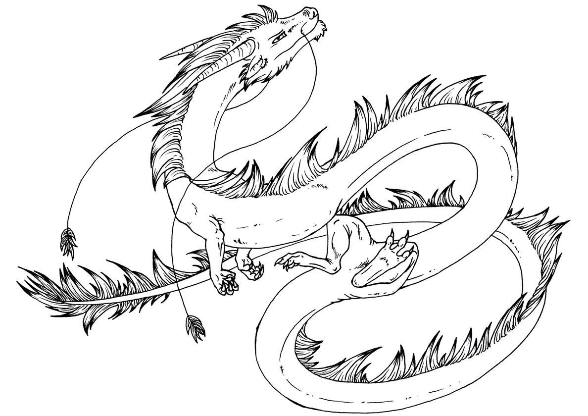 Драконы картинки раскраски. Раскраска дракон. Китайский дракон раскраска. Раскраски драконов. Дракон раскраска для детей.