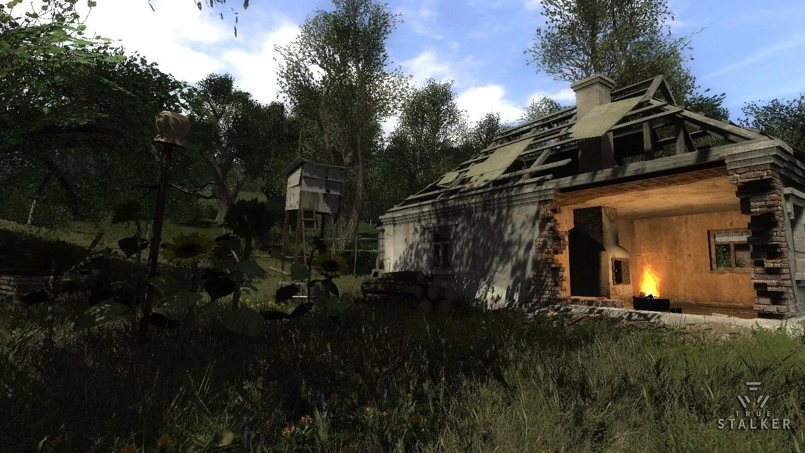 The true stalker. True stalker. true stalker mod. сталкер true stalker. сталкер настоящий сталкер.