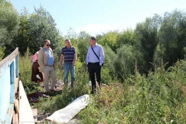 Погода бурмистров. Бурмистров рязань.