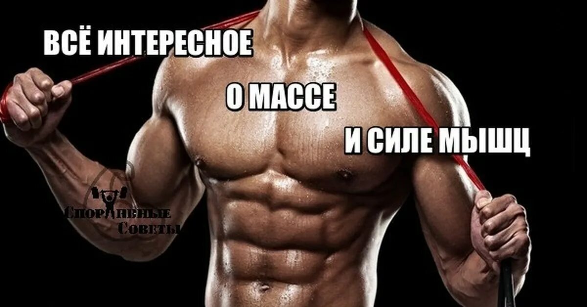 Прочность мышц. Сила мышц. сила мускулы. мышечная масса и сила.