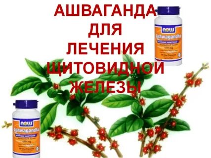 Лечения узла народными средствами