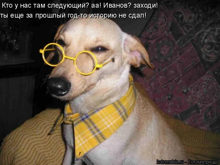 какой там следующий