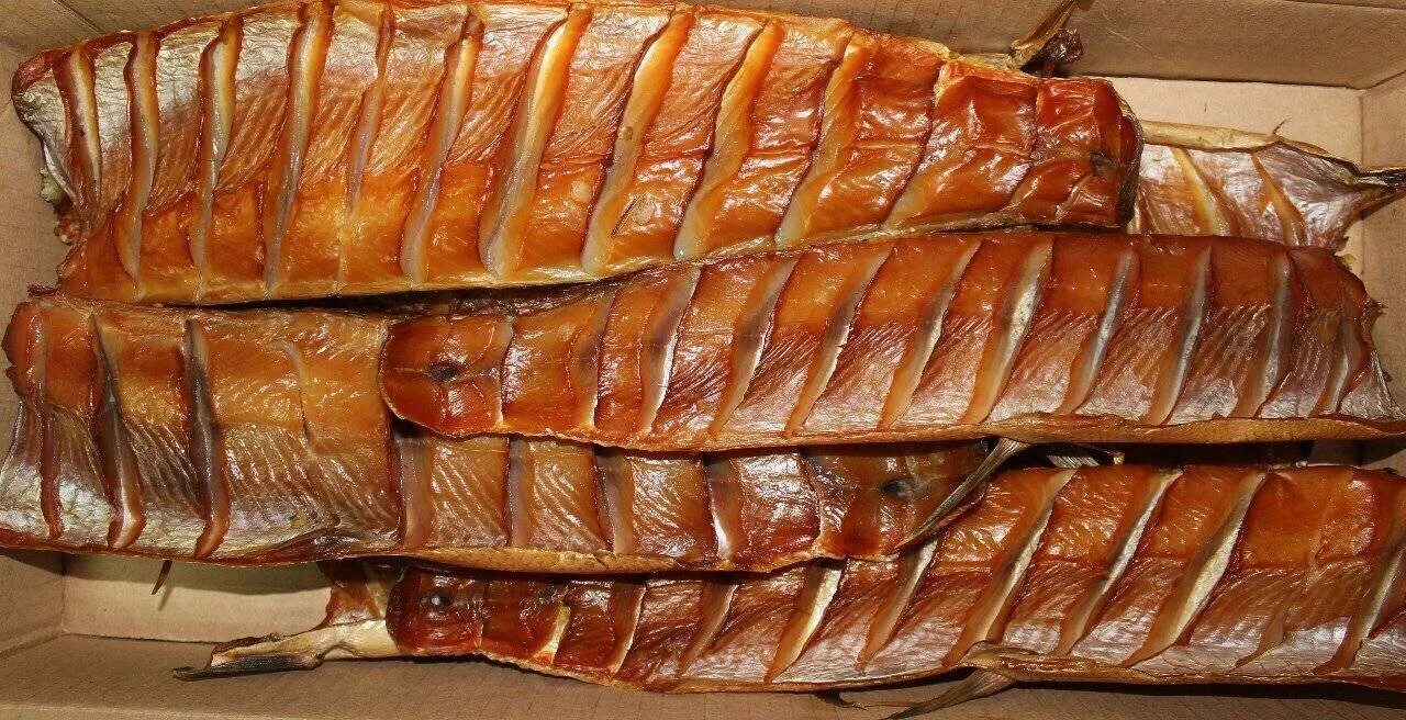 Юкола из щуки рецепт. Юкола из рыбы. Юкола форели. Юккола. Юкола из щуки.