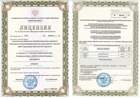 Срок оплаты лицензии