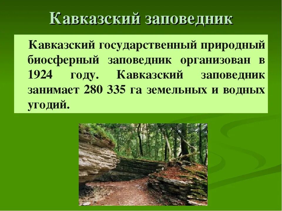 Проект заповедники россии 4 класс. Кавказский заповедник презентация. Кавказский заповедник доклад. Кавказский заповедник рассказ. Презентация на тему кавказский заповедник.