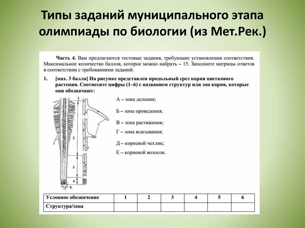 Задания биология заключительный этап. Региональный этап олимпиады по биологии. Типы задач по биологии. Этапы олимпиады по биологии. Задания городского этапа по биологии.