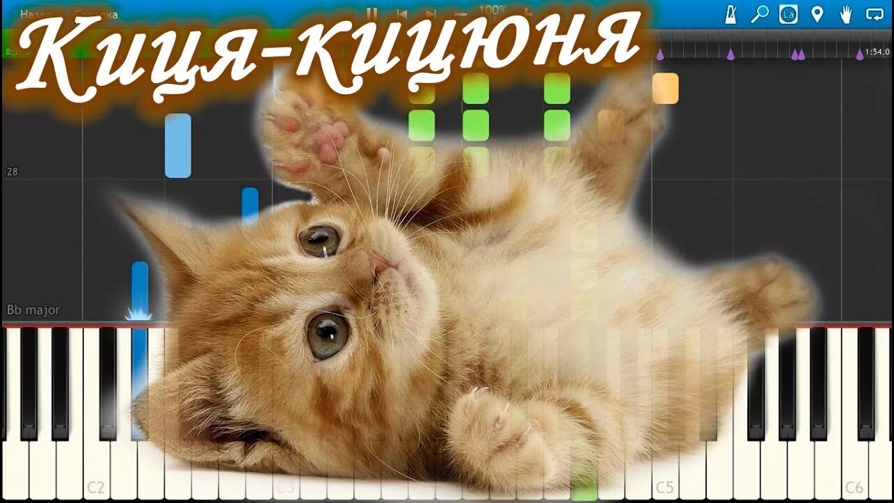 Киця кицюня. Киса кисуня мурка