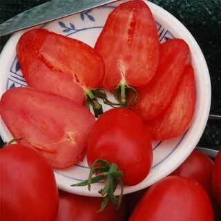 Немецкая красная клубника томат описание