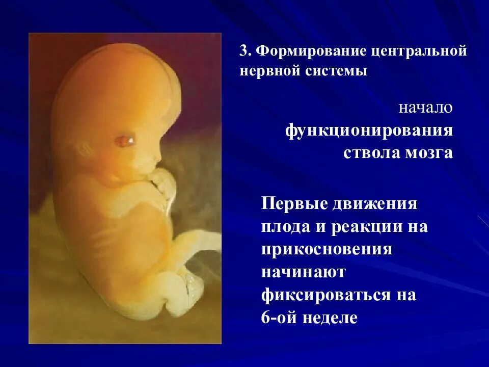 Проблемы с эмбрионом