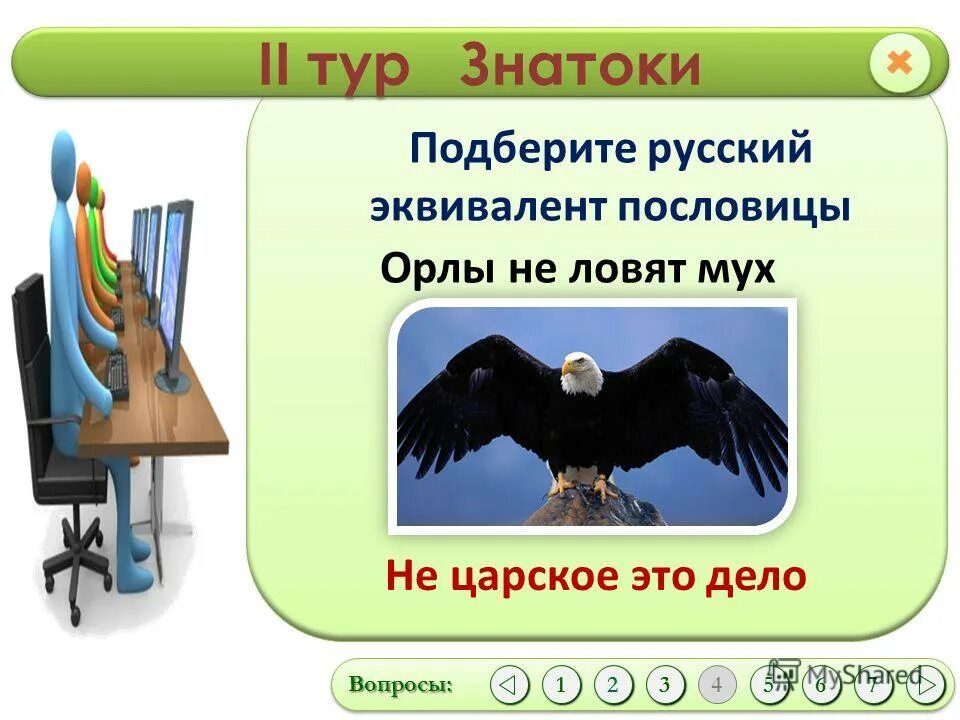 Орел не охотится на мух. Орел не ловит мух на латыни. Орел не ловит мух на латыни. Полет птицы. Орел не ловит мух на латыни.