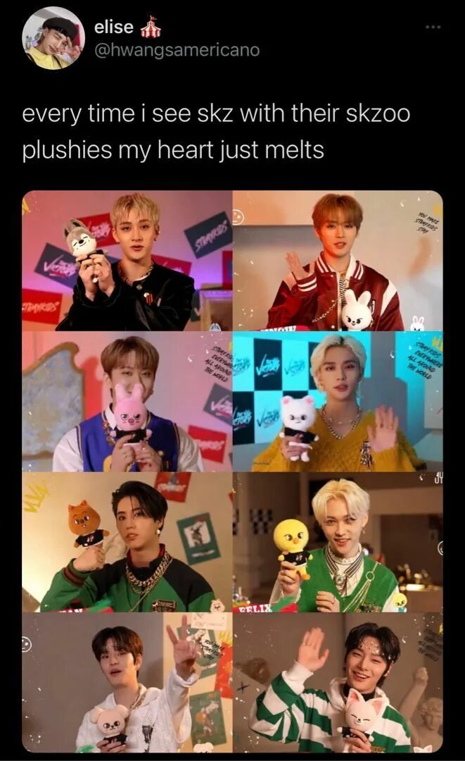 Знаки зодиака мемберов stray kids. Группа stray kids 2022. Stray kids с днем рождения. Stray kids имена. Рост участников страй кидз.