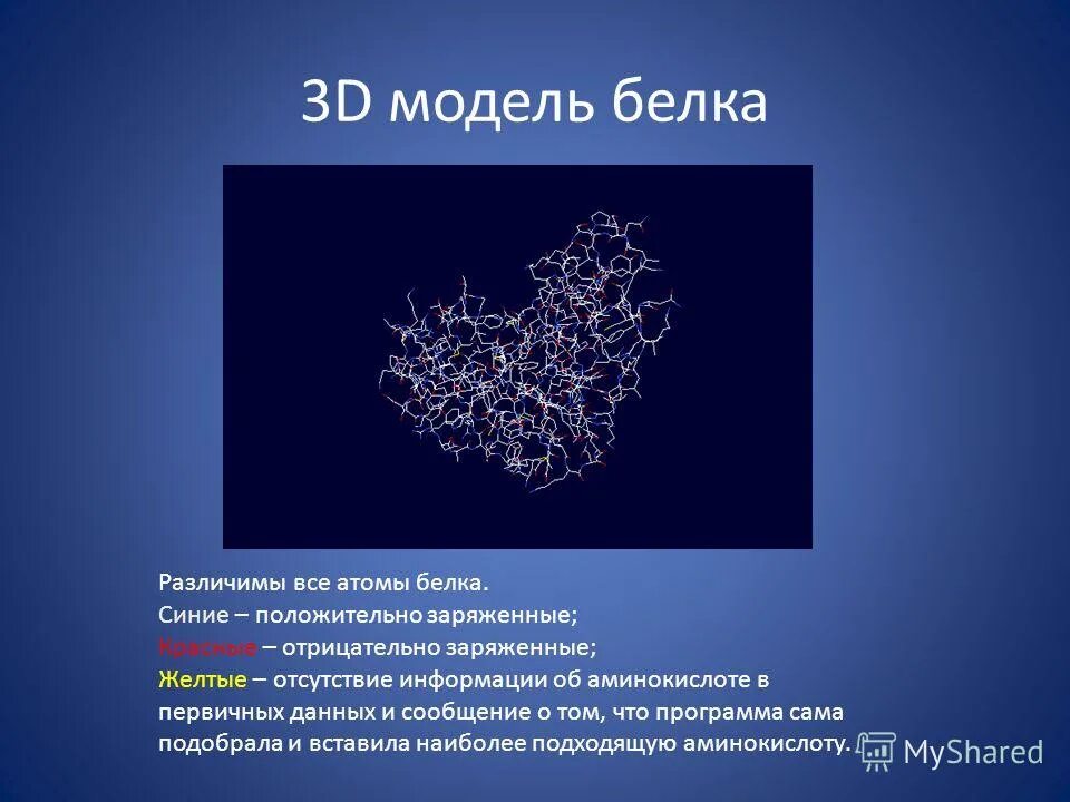 Модель белка. Атом белка. Модель белка биология. Отрицательно заряженный белок.