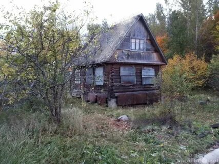 Мшинская дом