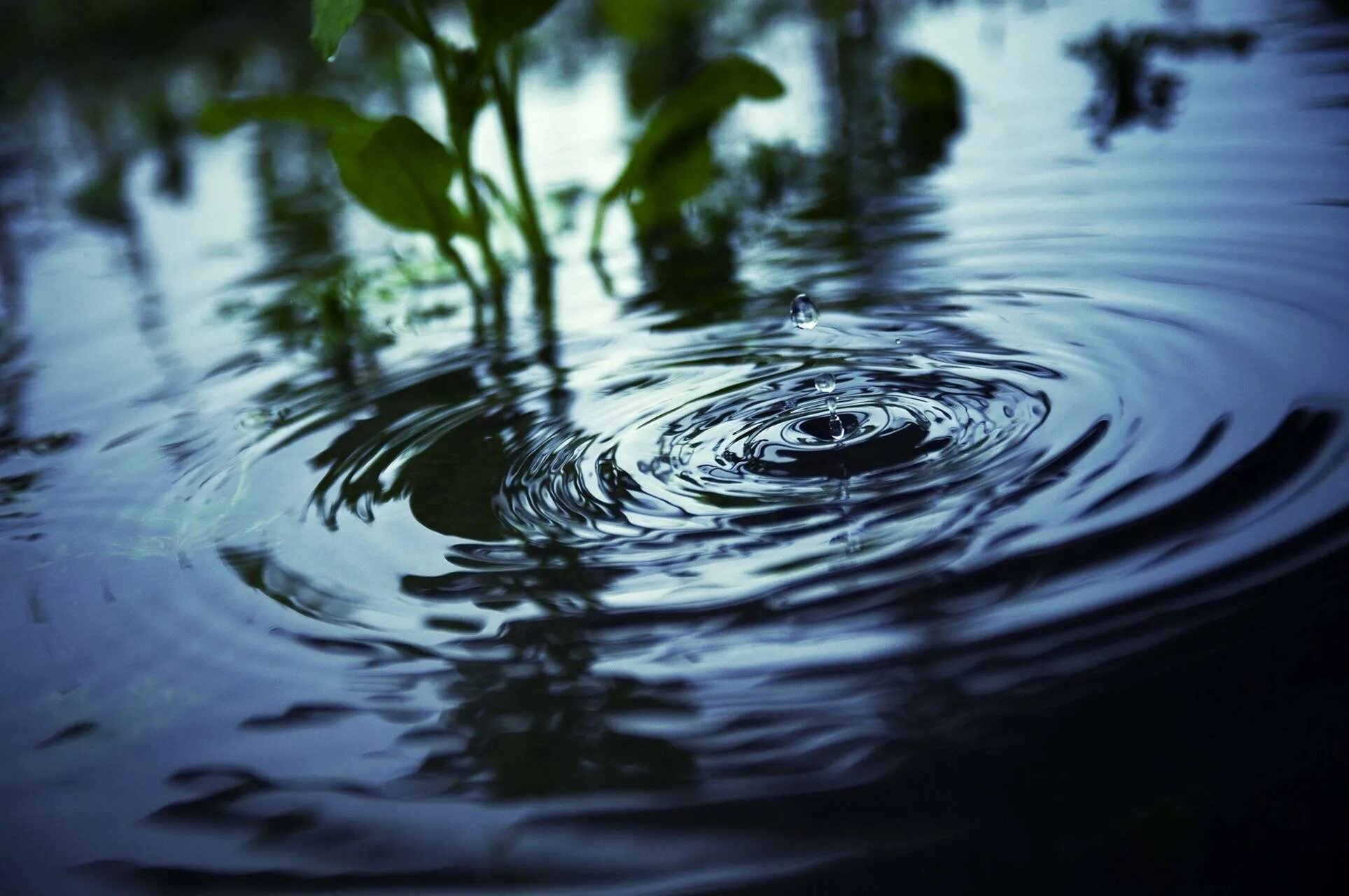 Круги на воде чья. Круги на воде. Концентрические круги на воде. Круги на воде природа. Капля и круги на воде.