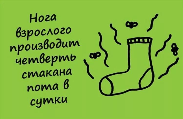 Интересный факт из жизни пример Сайт С Интересными Фактами И Статьями 32 Фотo