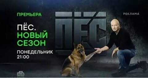 Пес постер