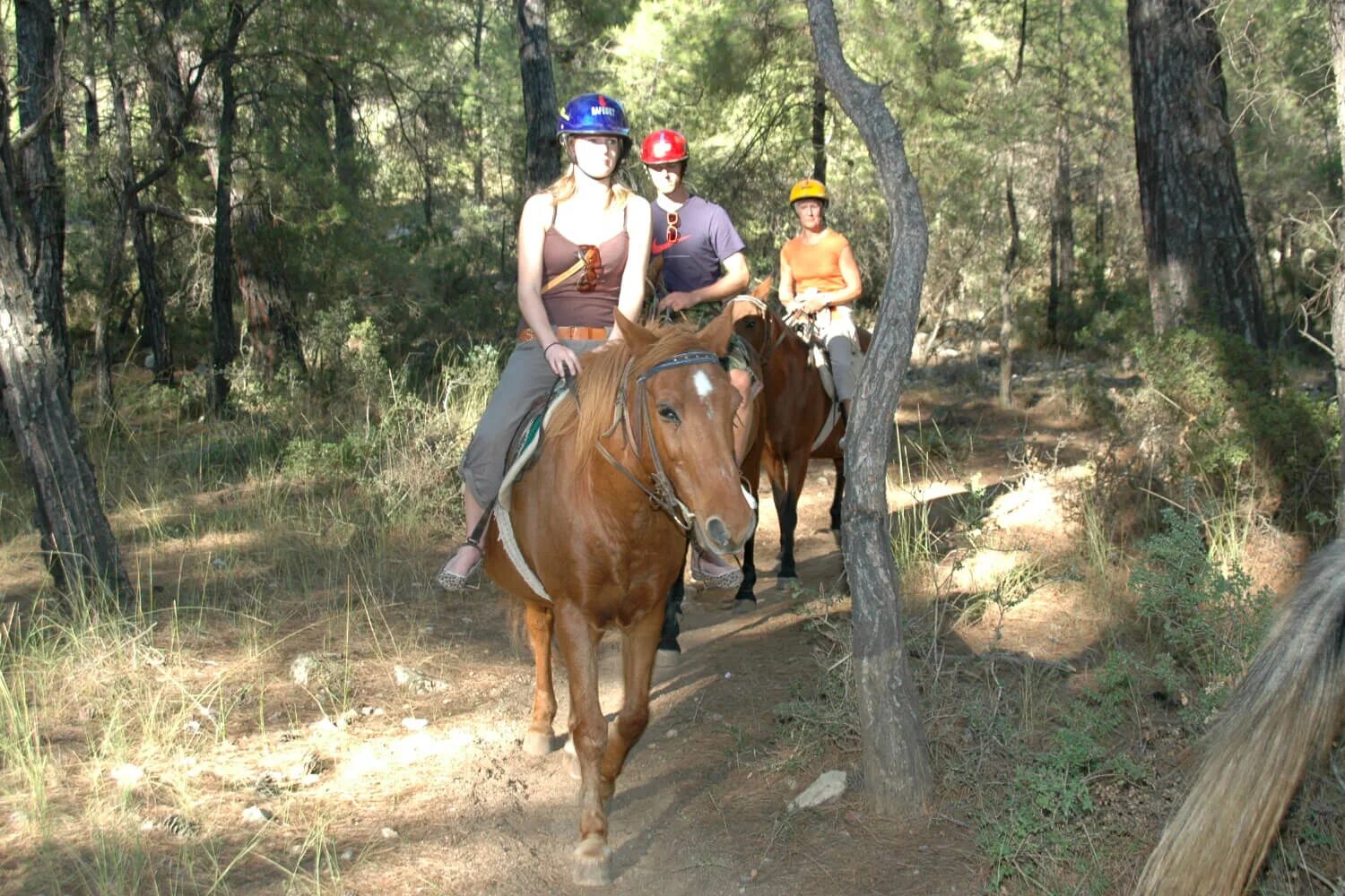 Riding around. Horse Safari Marmaris. Прогулка на лошадях в Мармарисе. Прогулка на лошадях Мармарис. Прогулка на лошадях Кемер.