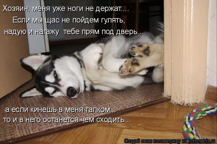 Полынй человек с одышкой. На работу как тюлень еле ходишь. Сильно еле хожу. Надо сбежать с работы. Сильно еле хожу.