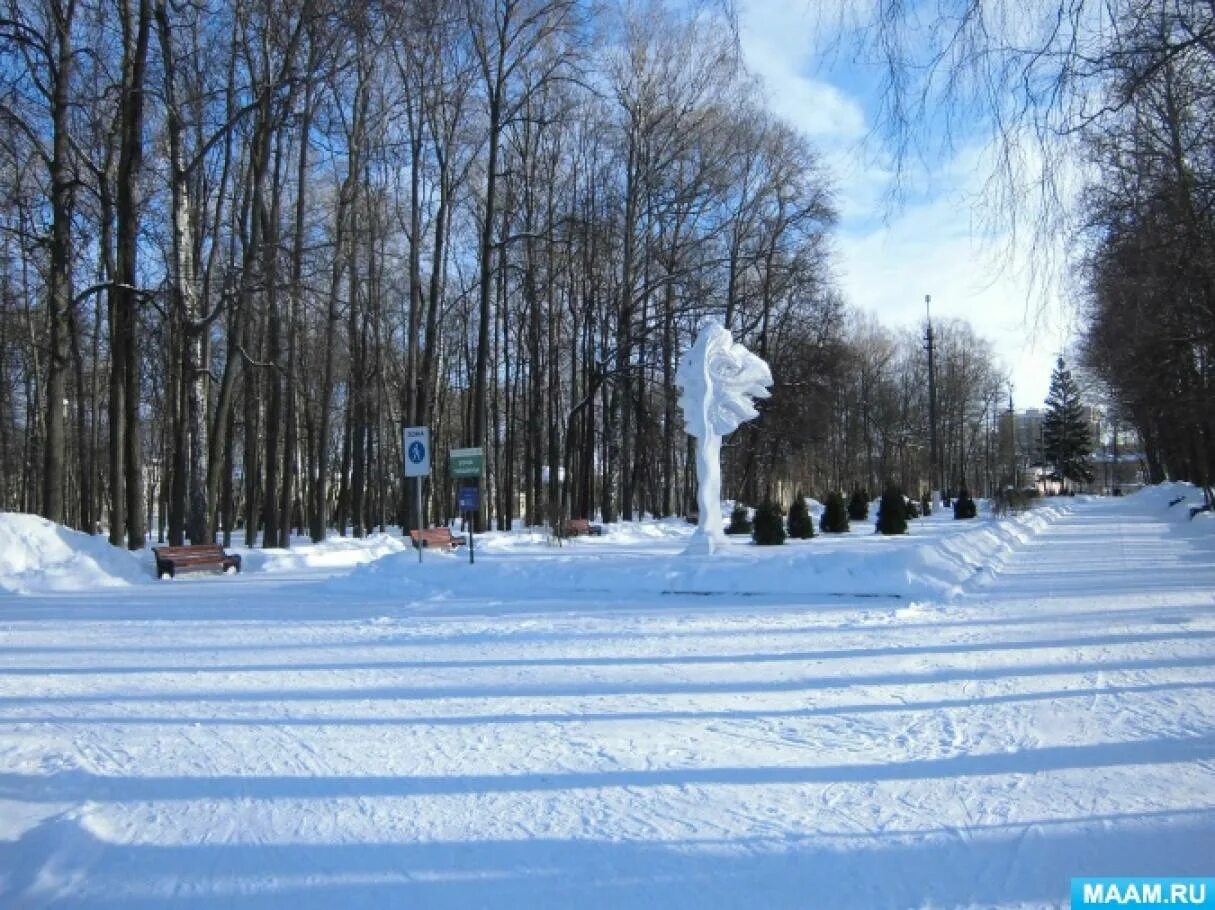 Каток в парке тула. Парк Белоусова Тула зима. Белоусовский парк в Туле зимой. Центральный парк Белоусова в Туле зимой. Каток Тула парк Белоусова.