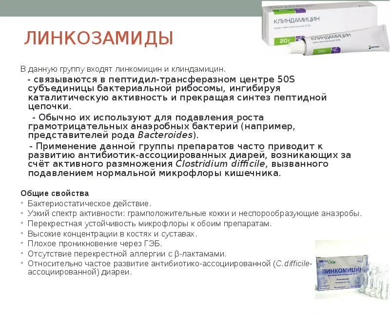 Клиндамицин группа антибиотиков. Антибиотики группы линкозамидов. Линкозамиды группа антибиотиков список. Клиндамицин фарм группа.