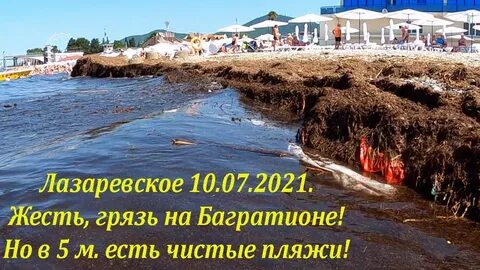 Грязь 2021