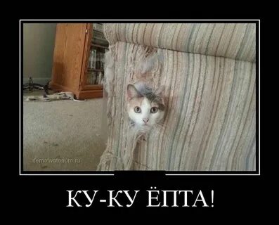 Скачай епты