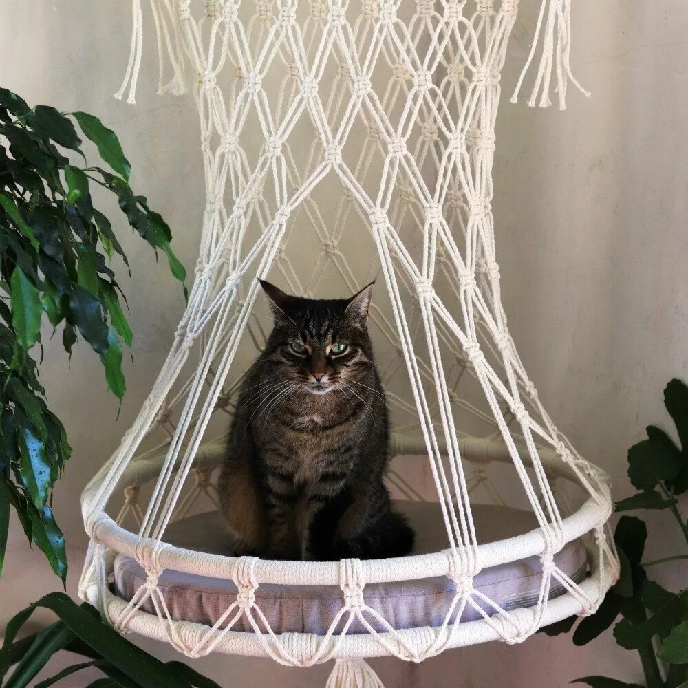 Макраме кот. Плетеный гамак для кошки. гамак для кота макраме. подвесной гамак для кошек. макраме лежанка для кота.